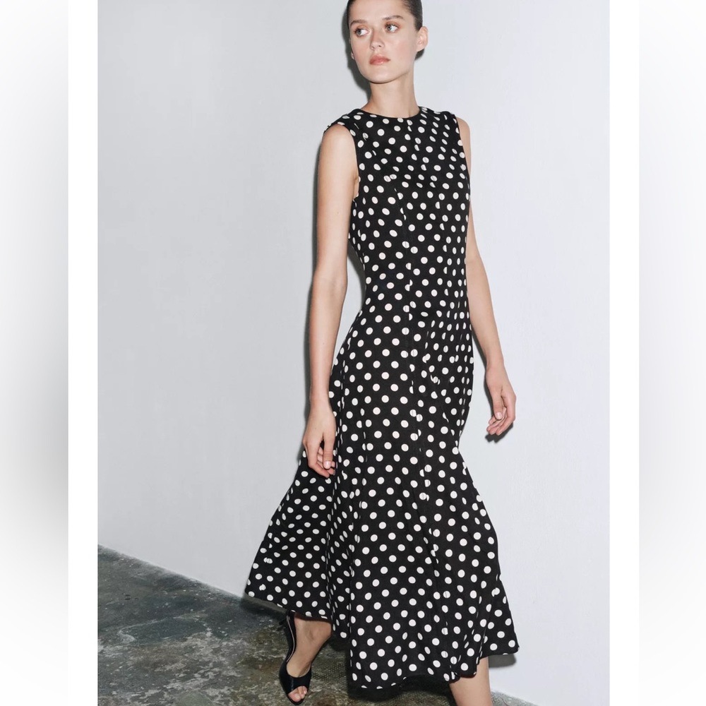 Zara Black & White Polka Dot Midi Dress